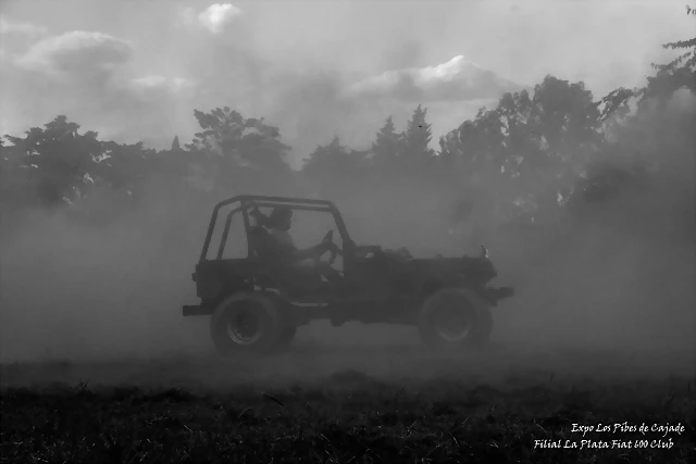 DSC_0324 DSC_0324