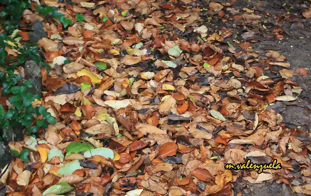 invierno en la parrilla 13, marca