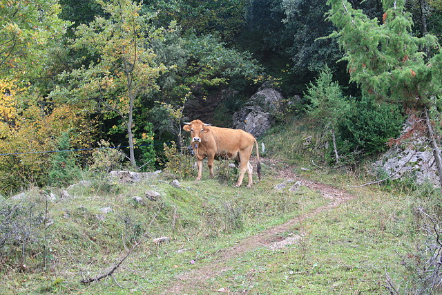 Beget- Rocabruna 4x4 061