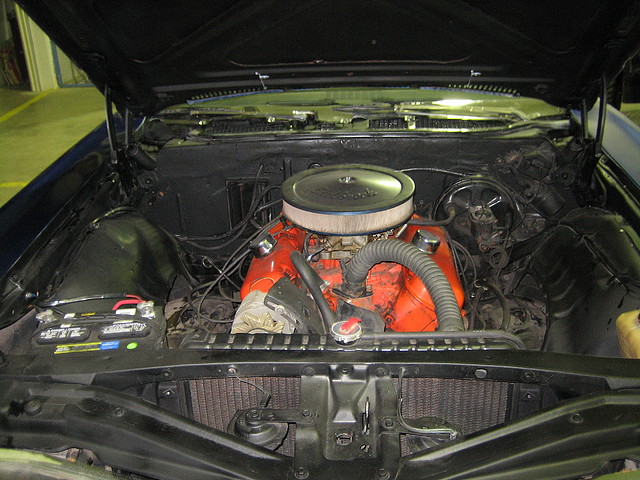 IMG_7740 IMG_7740