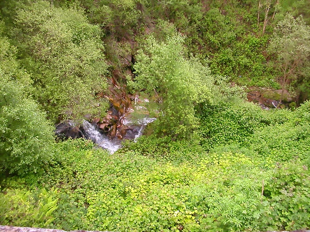 reglaje 024 reglaje 024