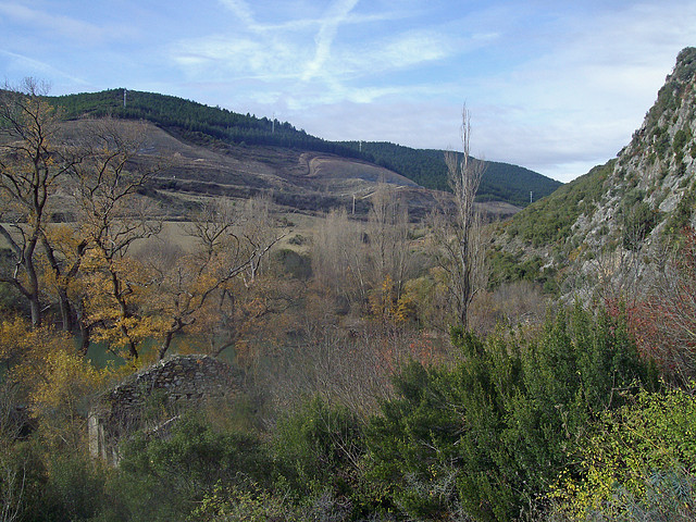 La foz de Lumbier 055