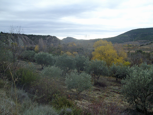 La foz de Lumbier 042