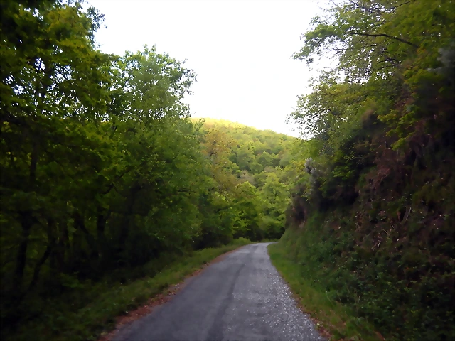 DSCN2142 DSCN2142