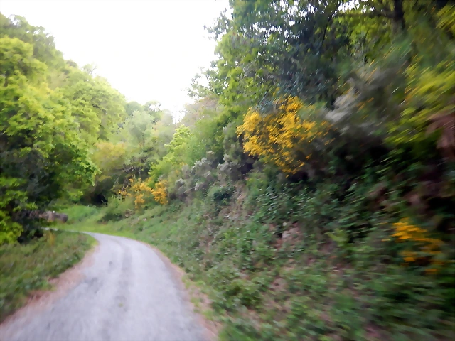 DSCN2143 DSCN2143