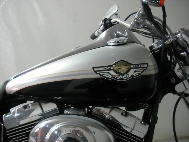 SANY3677