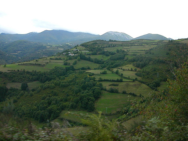 DSCN3321 DSCN3321