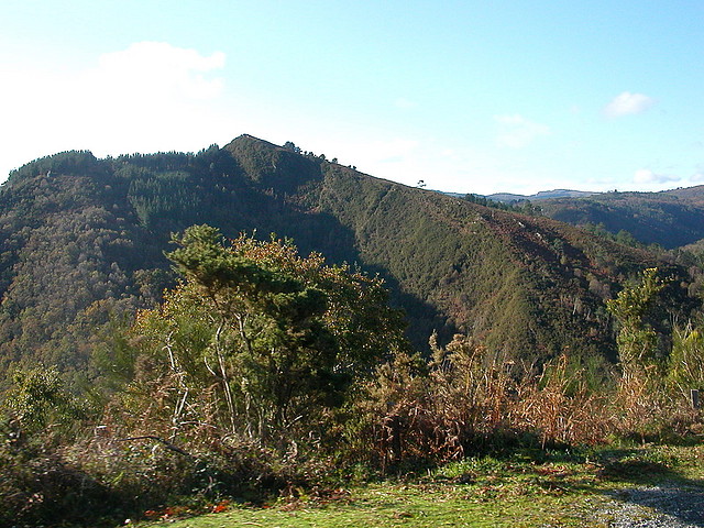 DSCN9121 DSCN9121