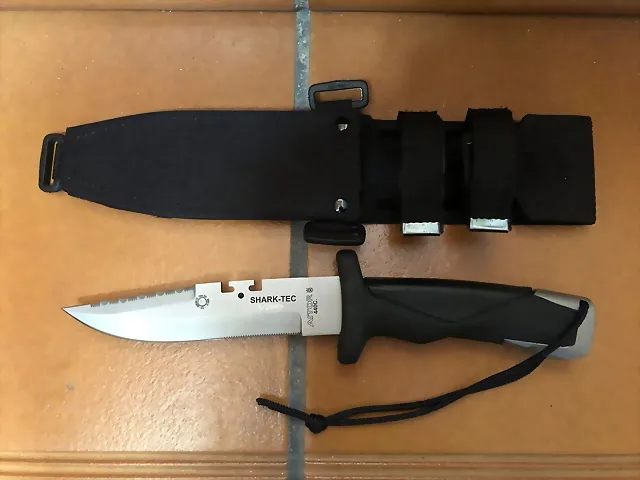 shark2