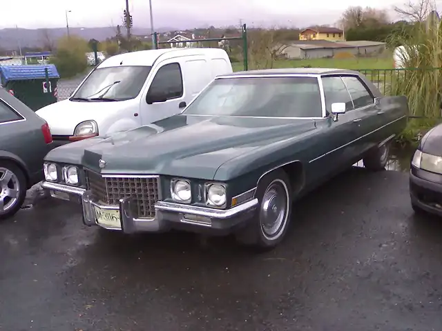 Caddy M-3116-