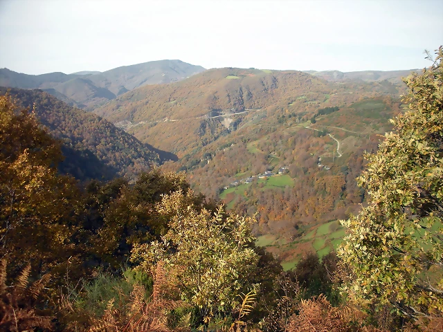 DSCN0544 DSCN0544