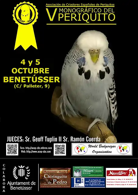 CARTEL BENETUSSER INGLESES 7 JPEG logo amarillo