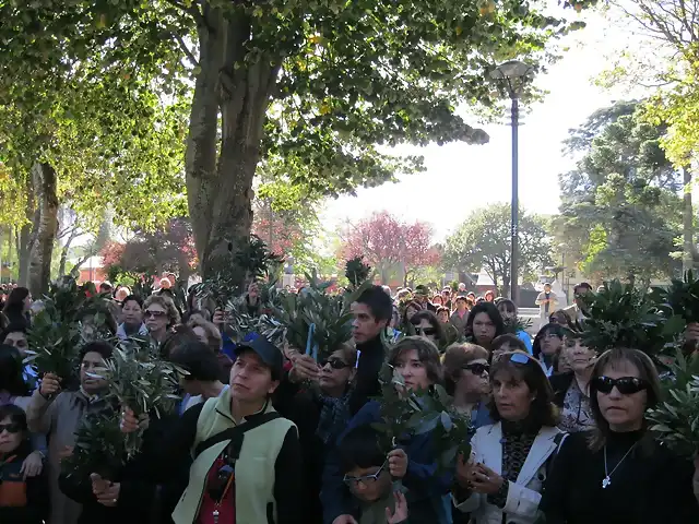 Misa de Domingo de Ramos da inicio de la Semana Santa (9)