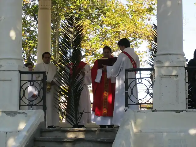 Misa de Domingo de Ramos da inicio de la Semana Santa (8)