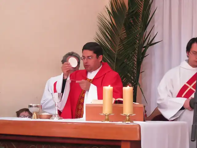 Misa de Domingo de Ramos da inicio de la Semana Santa (18)