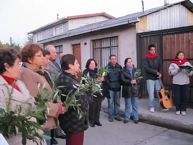 Misa de Domingo de Ramos da inicio de la Semana Santa (1)