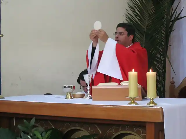 Misa de Domingo de Ramos da inicio de la Semana Santa (19)