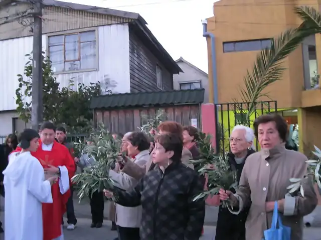 Misa de Domingo de Ramos da inicio de la Semana Santa (3)