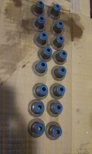 IMAG0247 IMAG0247
