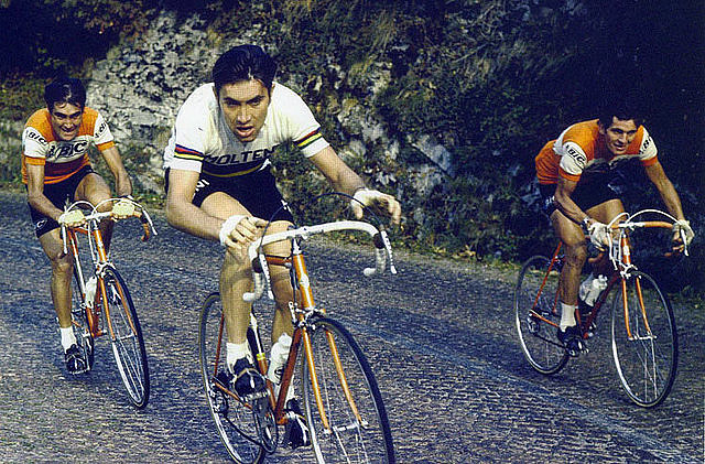 MERCKX1972,OCAA