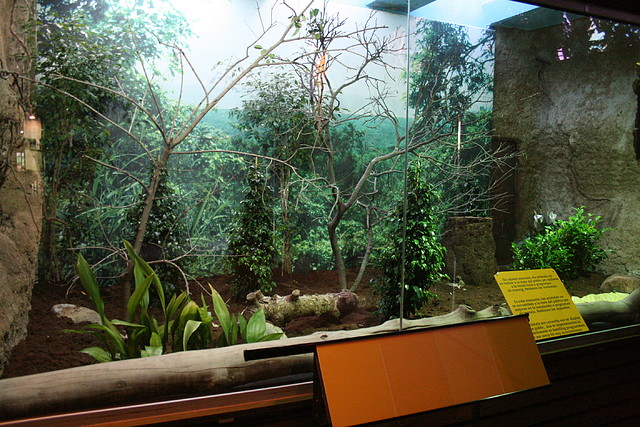 Zoo de Barcelona 18-04-11 889 Zoo de Barcelona 18-04-11 889