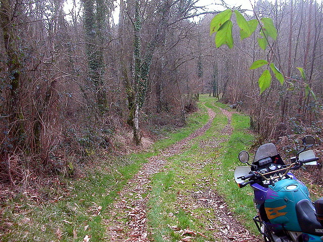 DSCN0127 DSCN0127