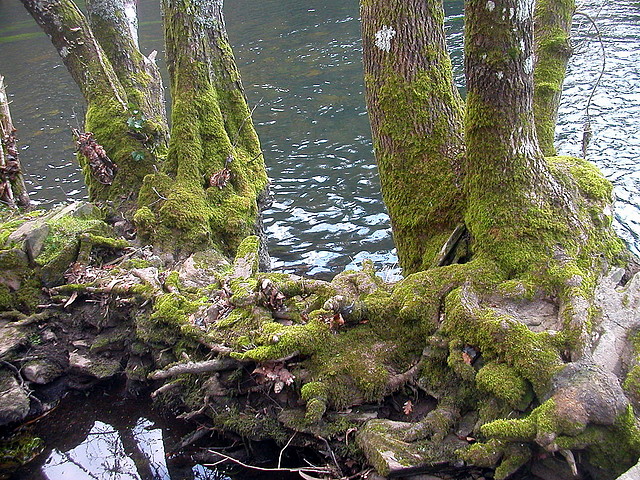 DSCN0153 DSCN0153