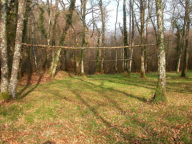 DSCN0136 DSCN0136