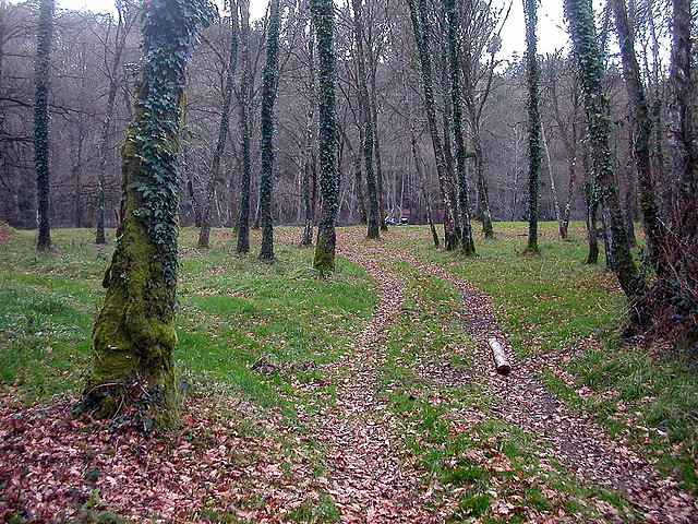 DSCN0129 DSCN0129