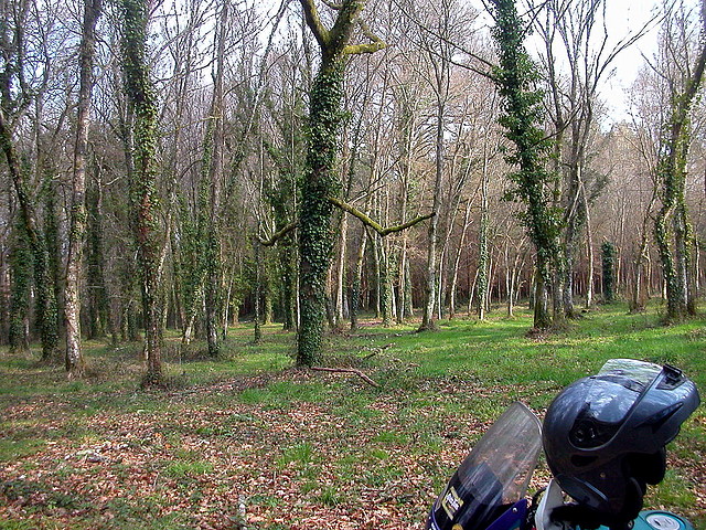 DSCN0140 DSCN0140