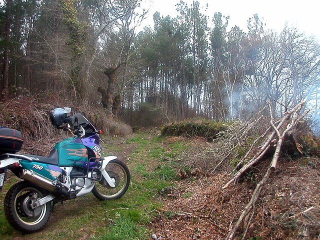 DSCN0201 DSCN0201