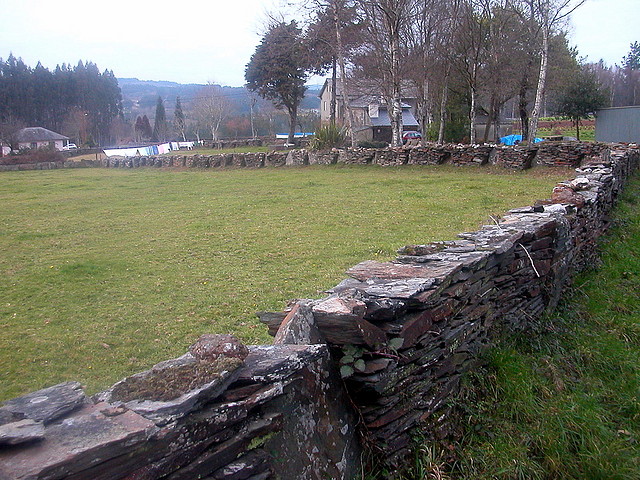 DSCN0212 DSCN0212