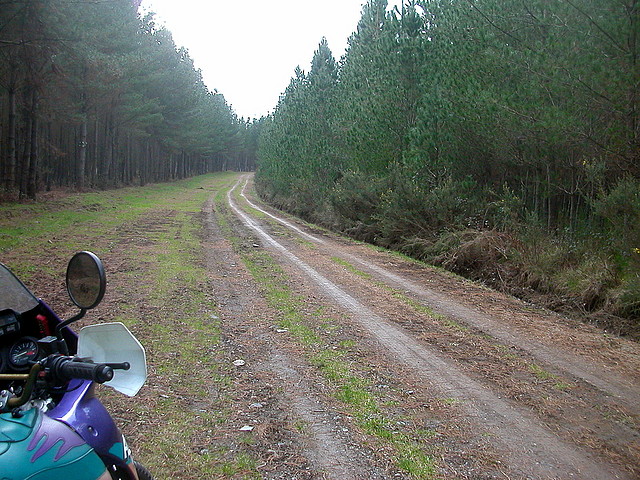 DSCN0185 DSCN0185