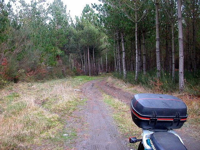 DSCN0183 DSCN0183