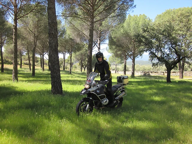 4-05-2013 (35) 4-05-2013 (35)