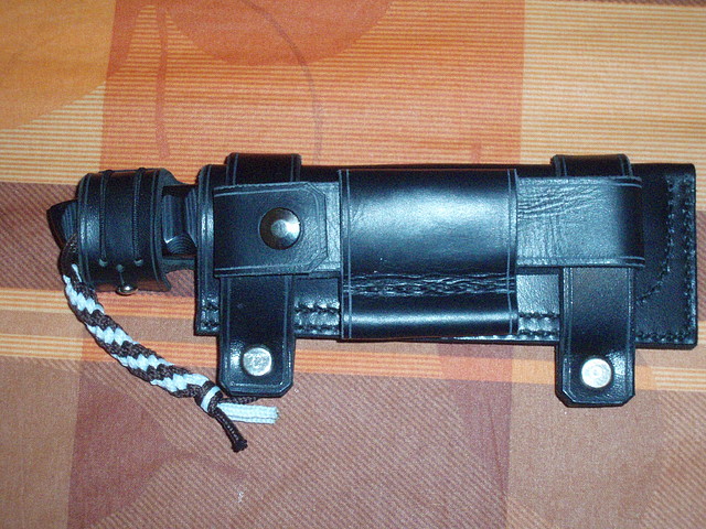 Funda cuervo (5) Funda cuervo (5)