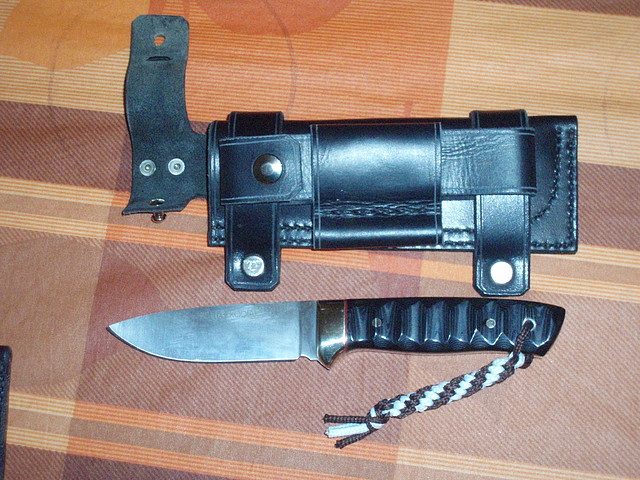 Funda cuervo (6) Funda cuervo (6)