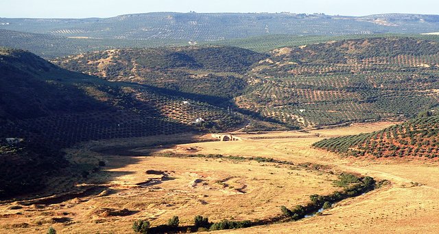 desde el cortijo