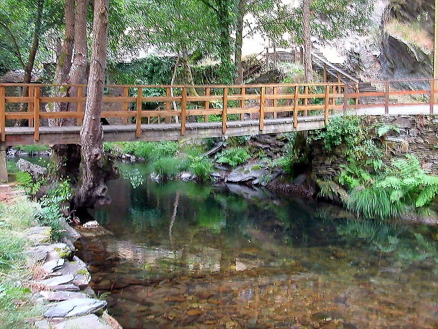 DSCN3298 DSCN3298