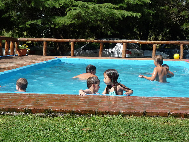P1060973 P1060973