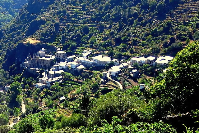 IMG_7560 IMG_7560