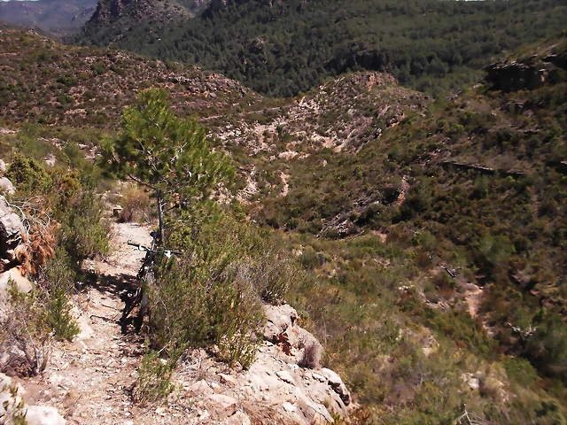 resized_Olocau solo 025