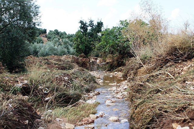 hacia el huerto del joyo