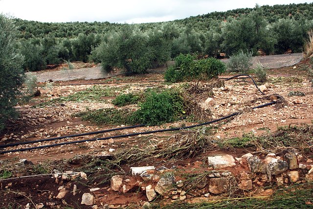 huerto del joyo2