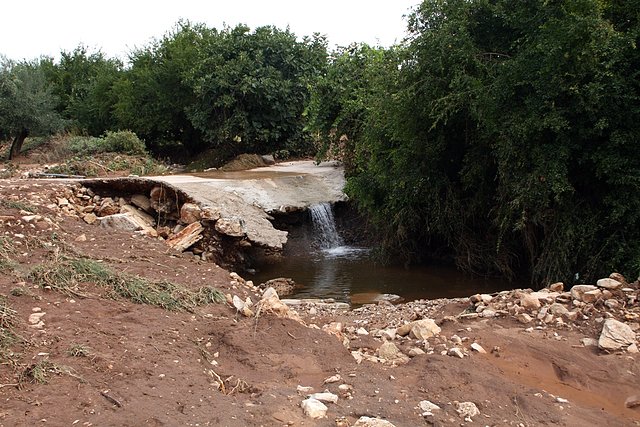 camino del panizal