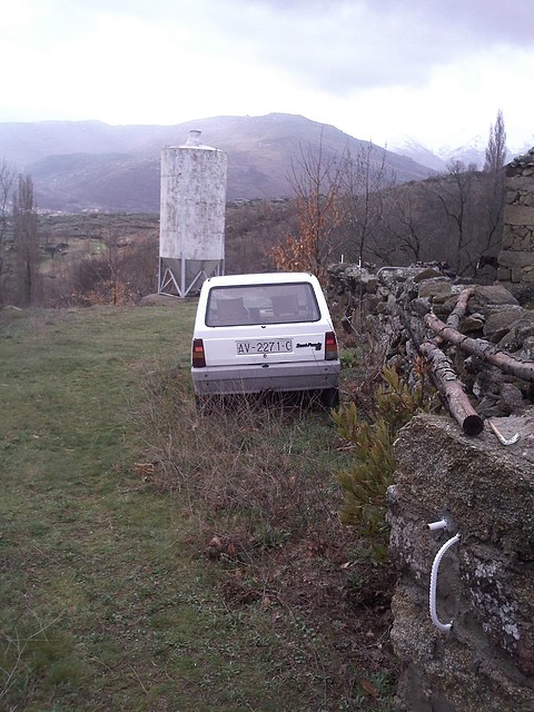 IMG009 IMG009