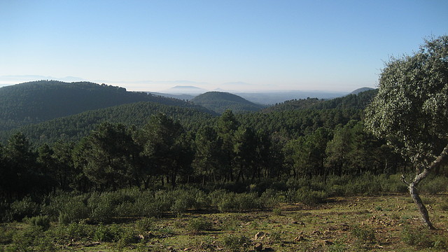 PALANCO. ELCHORTAL.    ENE.2011 (1)