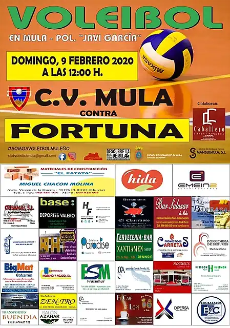 CVMULACVFORTUNA2020-1