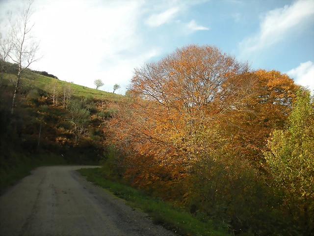 DSCN0554 DSCN0554