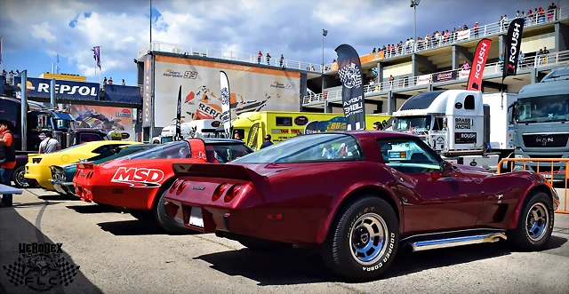DSC_0979 DSC_0979